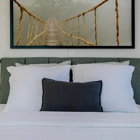 Grand T3 Lumineux Et Climatise 公寓 斯特拉斯堡