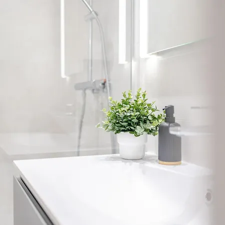 Grand T3 Lumineux Et Climatise