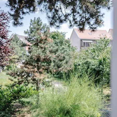 Grand T3 Lumineux Et Climatise