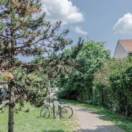 アパート Grand T3 Lumineux Et Climatise *