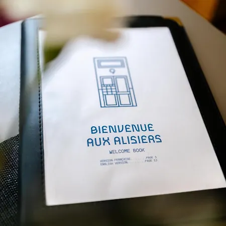 Grand T3 Lumineux Et Climatise * 斯特拉斯堡