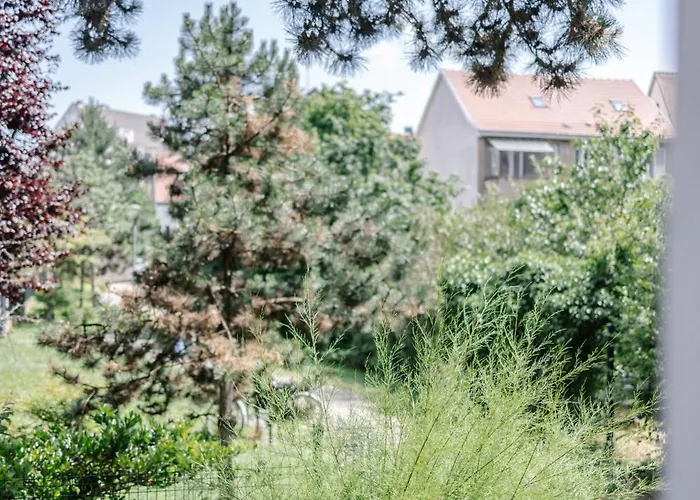 Les Alisiers - 3 Pièces - Climatisé