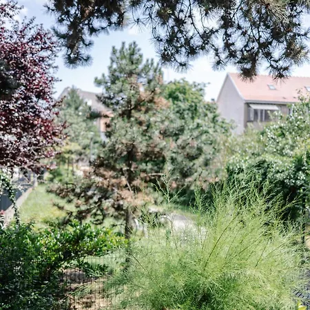 Grand T3 Lumineux Et Climatise Strazburg