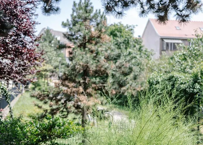 Grand T3 Lumineux Et Climatise Strasbourg